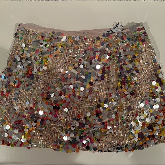 Sequin Skirt for Eras Tour - Picture 3 of 4